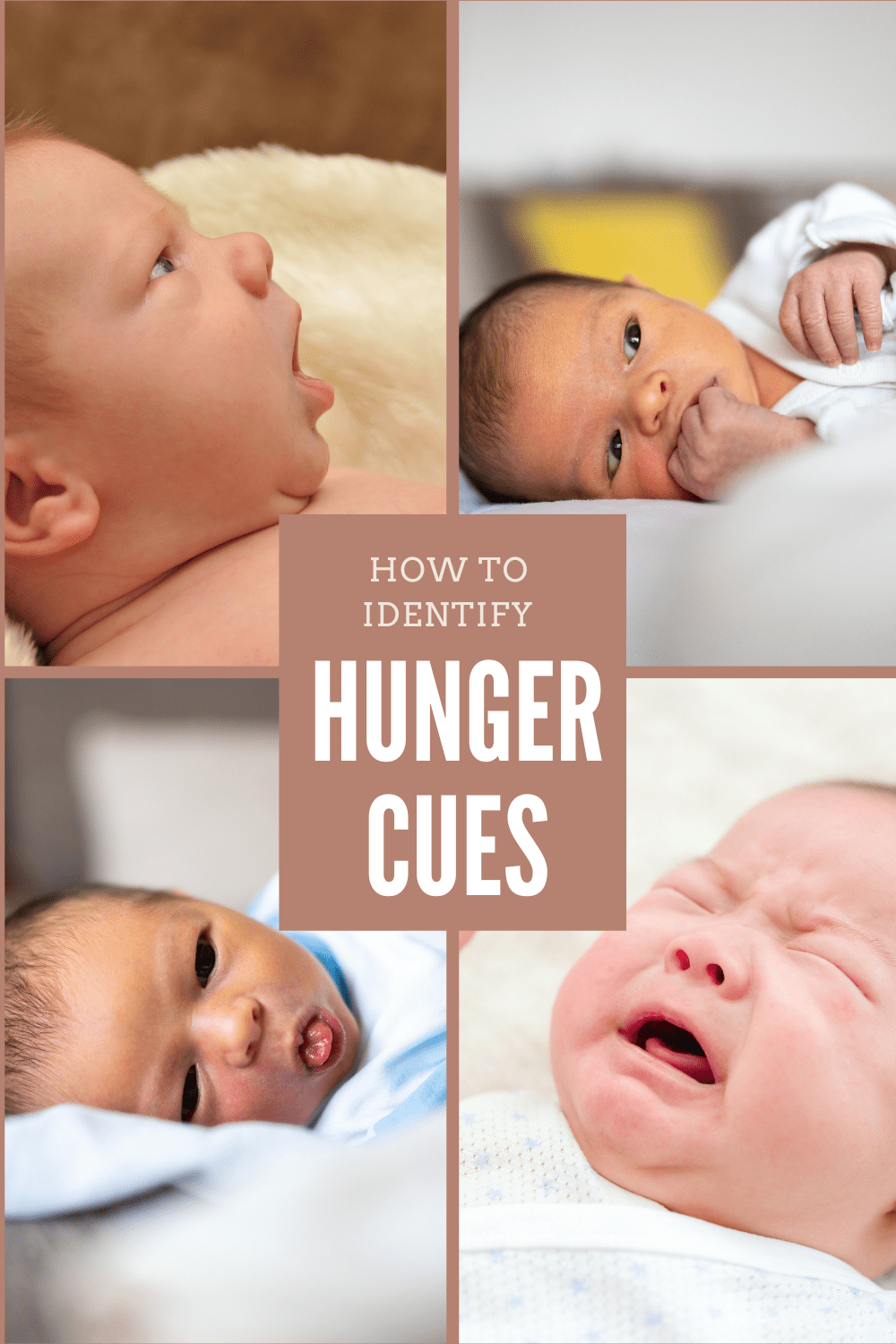 How to Identify Newborn Sleep Cues Vs Hunger Cues Transitions of
